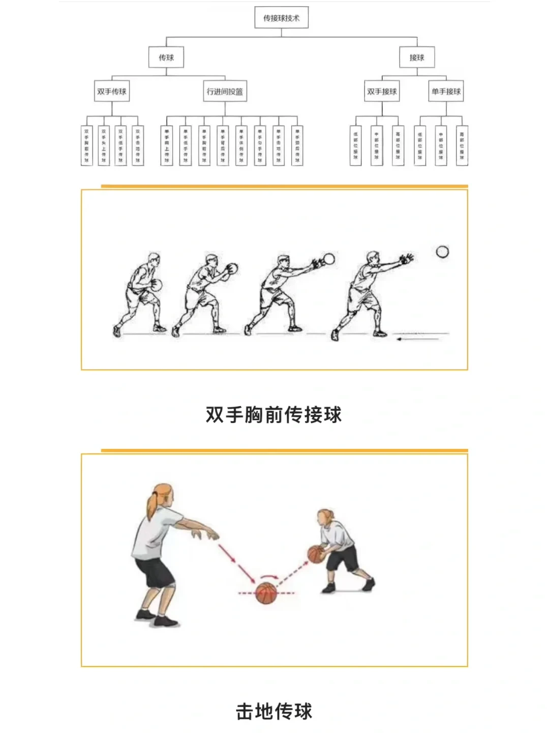 为什么篮球规则对球员发展如此重要?_0
